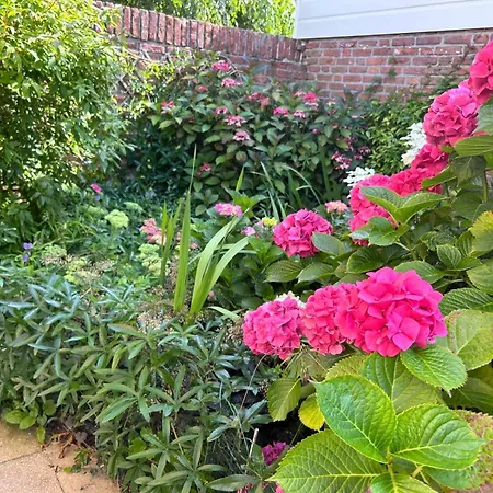 Holiday home Bloemenzee Noordwijkerhout