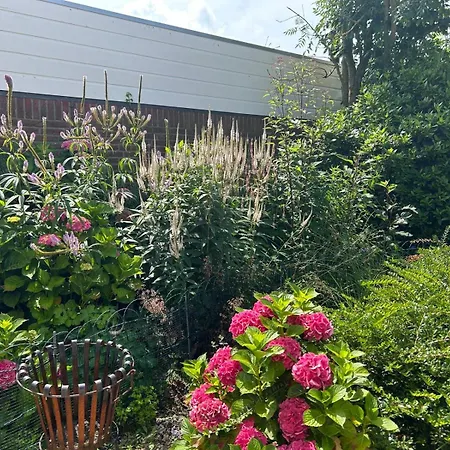 Bloemenzee Holiday home *