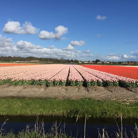 Tatil Evi Bloemenzee *