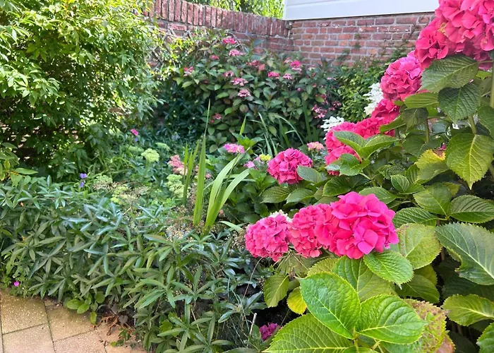 Dom wakacyjny Bloemenzee Noordwijkerhout