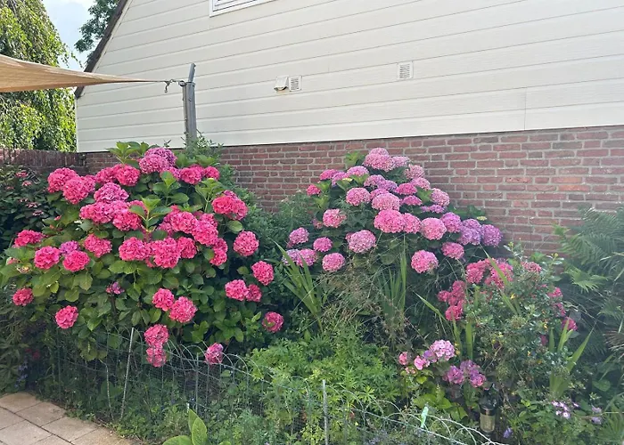 Bloemenzee * 노르트바이커하우트