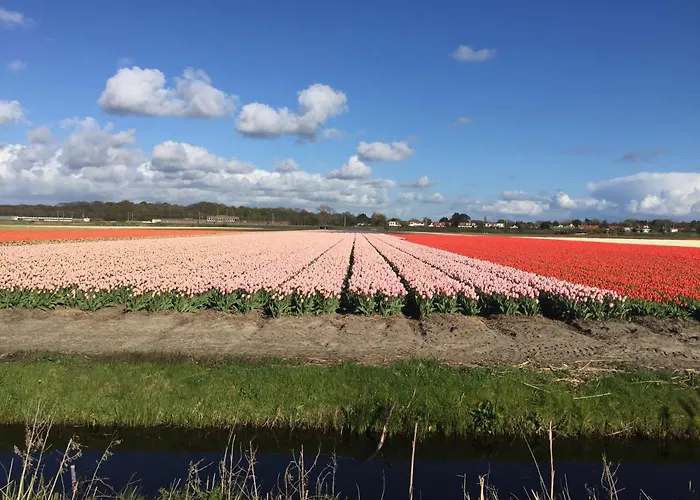 Dom wakacyjny Bloemenzee *
