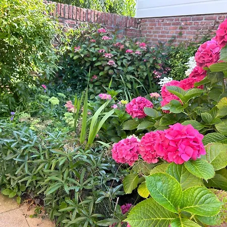 بيت للعطل Bloemenzee نوردفايكرهاوْت