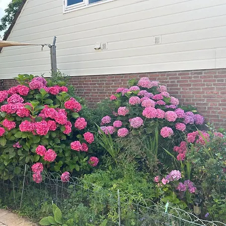 Bloemenzee * Noordwijkerhout