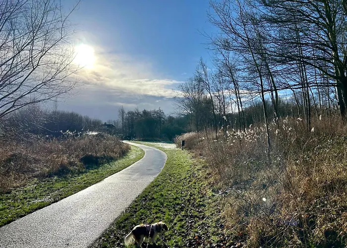 Tatil Evi Bloemenzee